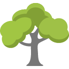 Lafayette Tree Trimming Service