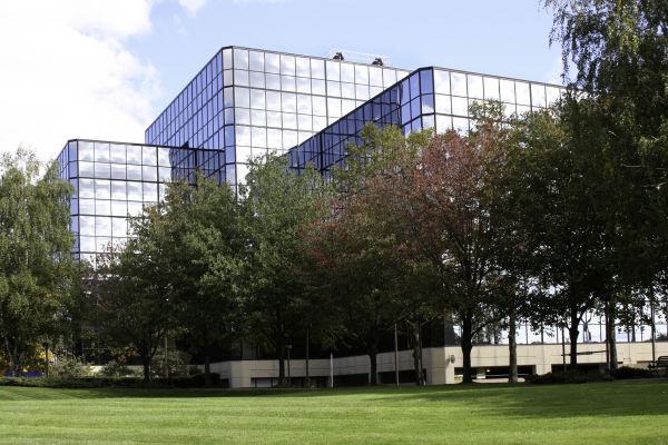 Commercial Tree Trimming in Lafayette