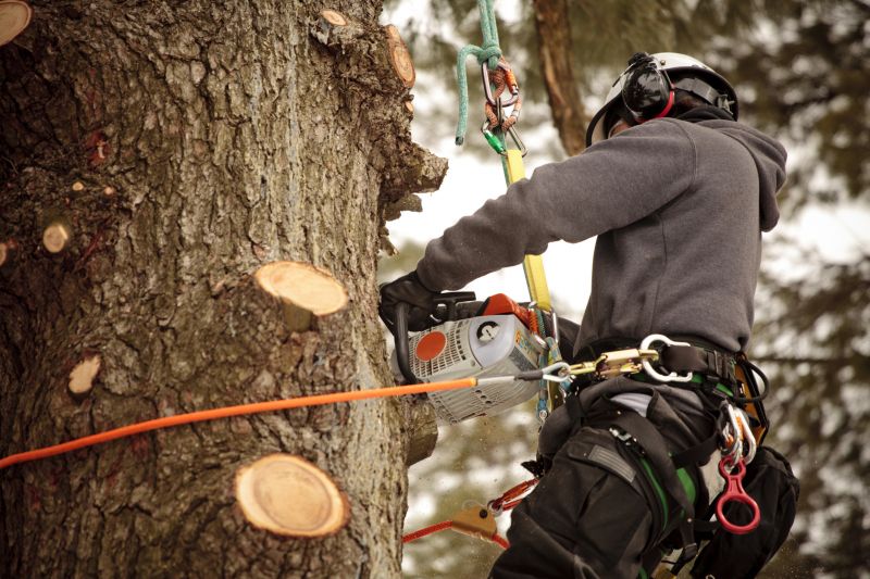 Specialized Tree Pruning
